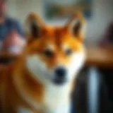 Analyzing Shiba Inu Cryptocurrency Price Dynamics Introduction