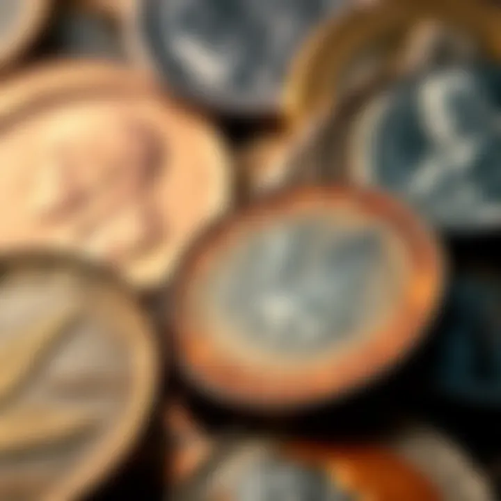 A close-up of collectible coins showcasing their unique features