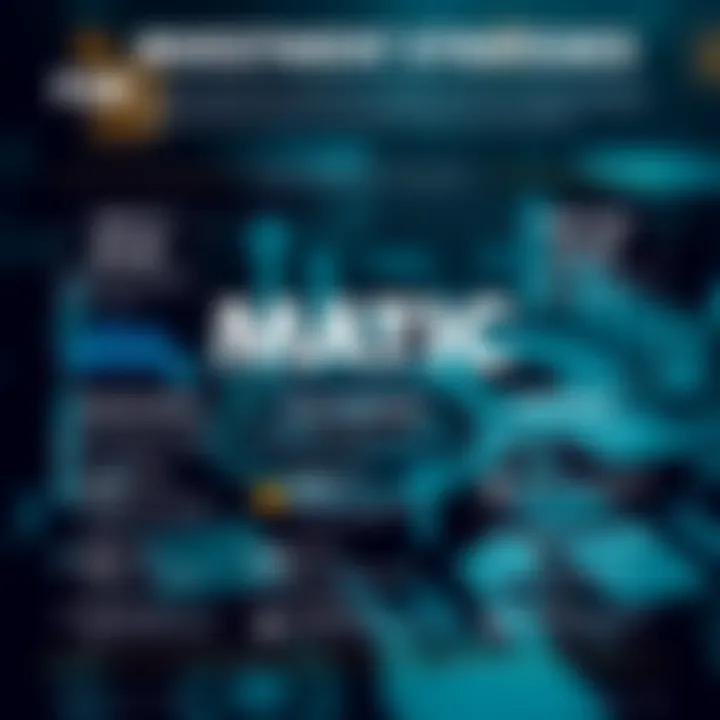 Infographic detailing MATIC investment strategies