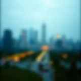 The Optimistic Blockchain: Potential and Perspectives Introduction