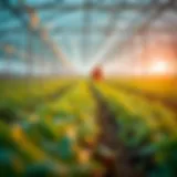Understanding Yield Farming: A Deep Dive into DeFi Investment Strategies Introduction